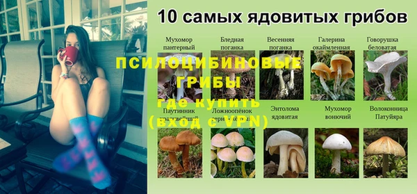 СК Алзамай